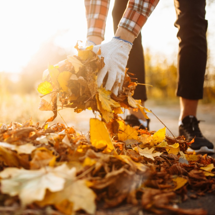 3 Tips for the Best Fall Cleaning