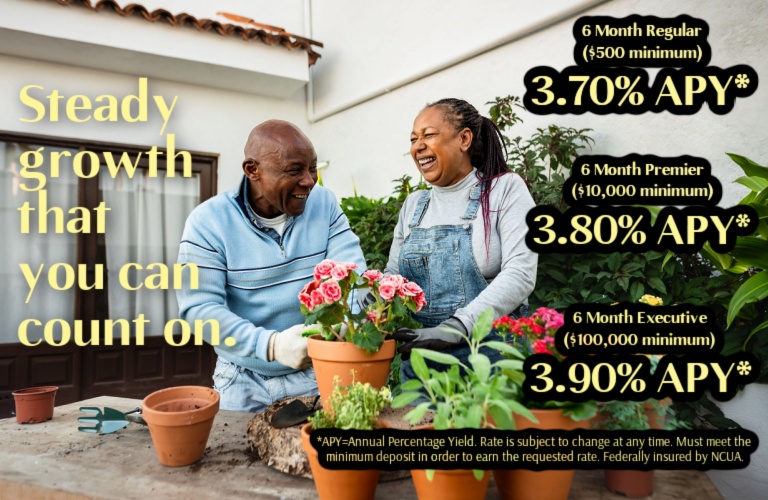 Steady growth that you can count on!