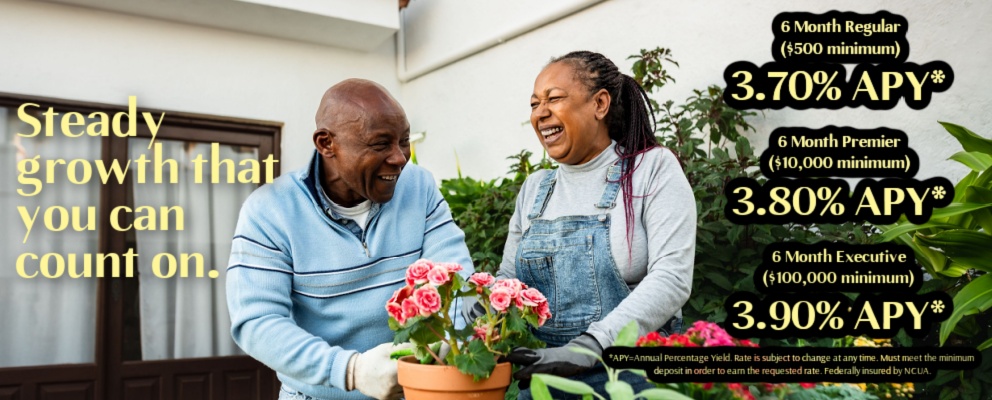 Steady growth that you can count on!