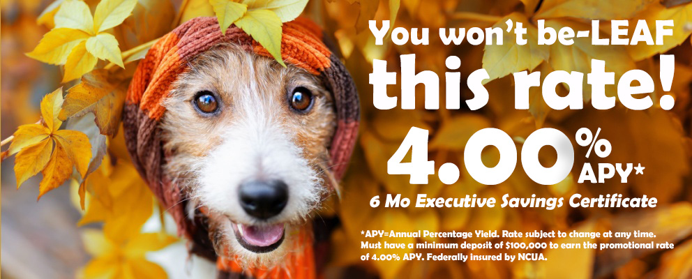 You won't be-LEAF this rate!