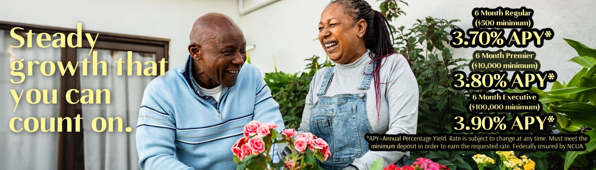 Steady growth that you can count on!