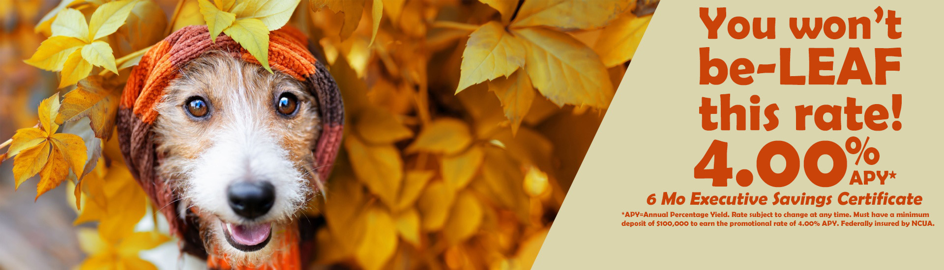 You won't be-LEAF this rate!